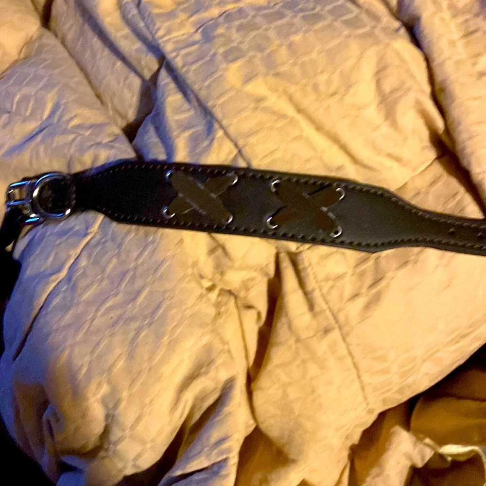 New Bret, Michaels, dog collar